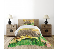 Little Hedgehog Bedspread Set