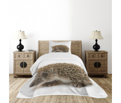 Small Mammal Bedspread Set