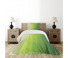 Ombre Color Stripe Digital Bedspread Set