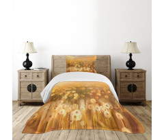 Vintage Spring Sunset Bedspread Set