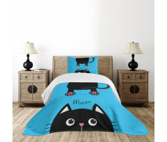 Fat Cat Paws and Tail Bedspread Set