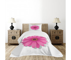 Gerbera Daisy Bedspread Set