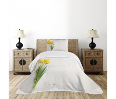 Tulips on Rustic Board Bedspread Set