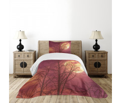 Moon Sky Dead Tree Bedspread Set