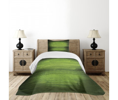 Timber Wood Surface Bedspread Set