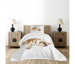 Sad Animal Bedspread Set