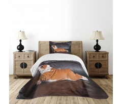 Resting Puppy Bedspread Set