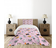 Colorful Baby Kittens Bedspread Set