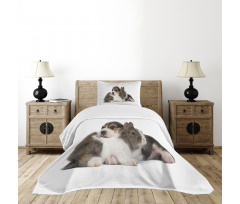 Rabbit Puppy Pet Friends Bedspread Set