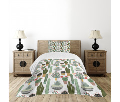 Succulents Flower Pots Bedspread Set