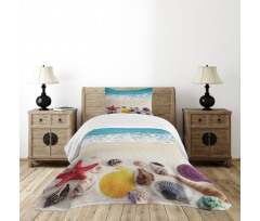 Sea Shells on Sandy Coast Bedspread Set