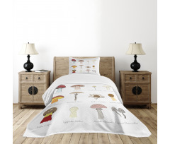 Blusher Boletus Sketch Bedspread Set