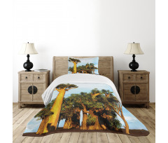 Tropical Baobabs Bedspread Set