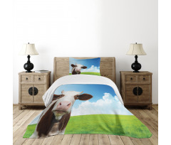 Staring Brown Animal Bedspread Set