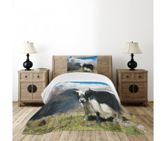 Bull Rural Mountains Bedspread Set