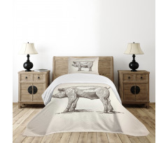 Vintage Hand-Drawn Image Bedspread Set