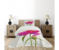 Flower and Vibrant Petals Bedspread Set