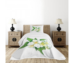 Freshness and Purity Bedspread Set