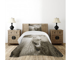 Fluffy Wooly Sheep Herd Bedspread Set