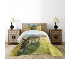 Donkey Eating Grass Mountain Bedspread Set