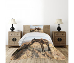 Greek Donkey in Mountains Bedspread Set