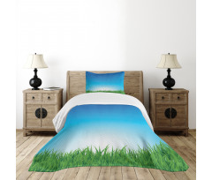 Sunburst Stripes with Grass Bedspread Set