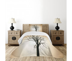 Barren Tree on Ombre Bedspread Set