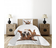 Funny Playful Puppy Image Bedspread Set