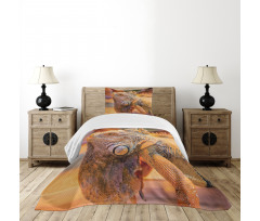 Caribbean Arboreal Animal Bedspread Set