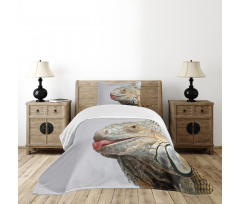 Nature Photography Realistic Bedspread Set