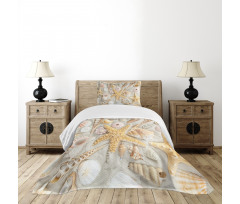 Assorted Seashells Sand Beach Bedspread Set