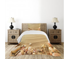 Various Seashells on Sand Bedspread Set