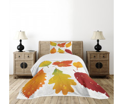 Realistic Dried Leaves Falling Bedspread Set