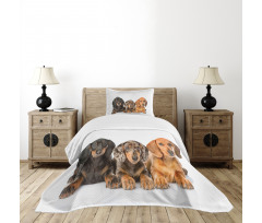 Different Color Dogs Lays Bedspread Set