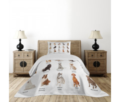 Puppy Breeds Family Bedspread Set