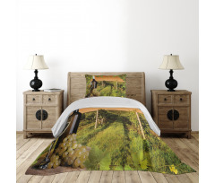 Bottle Grapes Sunset Bedspread Set