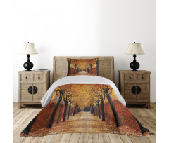 Pathway in the Woods Bedspread Set