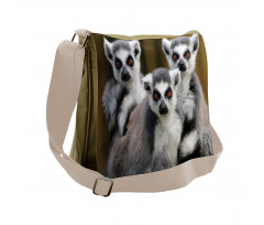 Ring Tailed Monkey Animals Messenger Bag