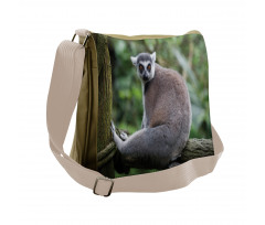 Photo of Madagascar Mammal Messenger Bag