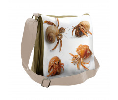 Hermit Crabs Pattern Messenger Bag