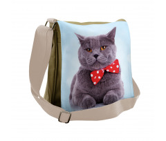 Grey Scottish Fold Theme Messenger Bag