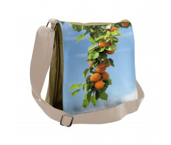 Succulent Apricots on Tree Messenger Bag