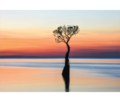 Mangrove Tree on Sunset Aluminum Water Bottle