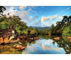 View of Jungle River Aluminum Water Bottle