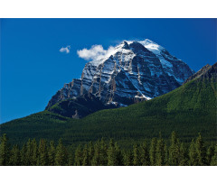 Snowy Peaks Trees Park Aluminum Water Bottle