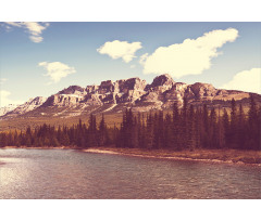 Canada River and Trees Aluminum Water Bottle