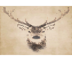 Deer Portrait with Dots Aluminum Water Bottle