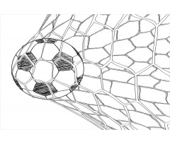 Soccer Ball in Net Aluminum Water Bottle