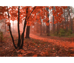 Misty Forest Leaves Orange Aluminum Water Bottle