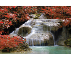 Fall Trees with Rock Aluminum Water Bottle